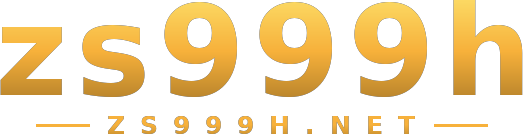 zs999h logo